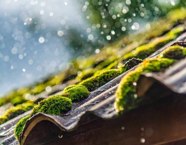 Entretien et nettoyage de couverture à Gennevilliers